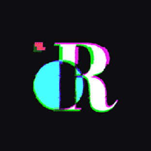 developer